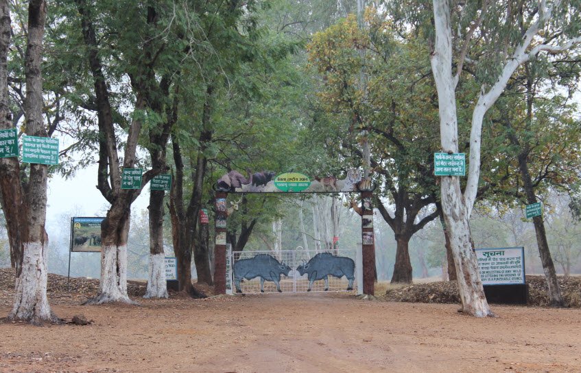 Palamau Wildlife Sanctuary, Latehar, Jharkhand - Vushii.com